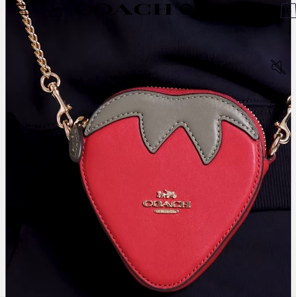 Strawberry Coin Case - Picture 4 of 7